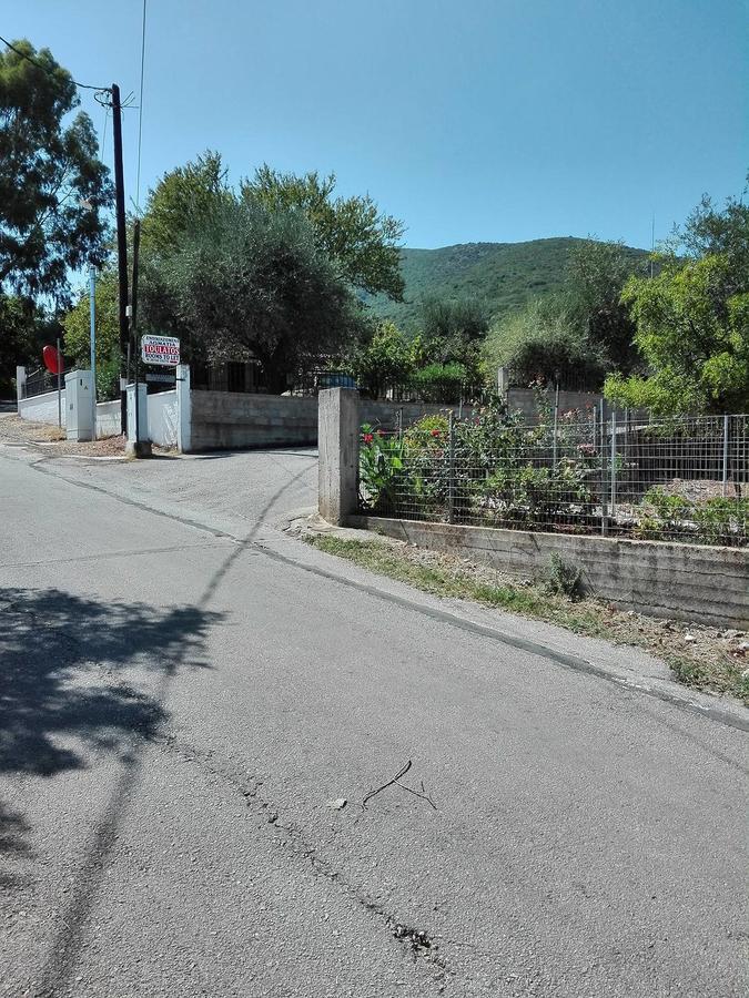Toulatos Pantelis * Poulata